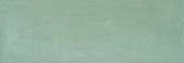 Aruba Moss Gloss 2x6 | Young Interiors Flooring Center