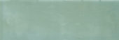 Aruba Moss Gloss 2x6 | Young Interiors Flooring Center