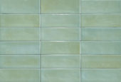 Aruba Moss Gloss 2x6 | Young Interiors Flooring Center