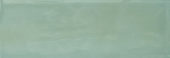Aruba Moss Gloss 2x6 | Young Interiors Flooring Center