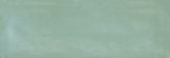 Aruba Moss Gloss 2x6 | Young Interiors Flooring Center
