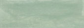 Aruba Moss Matt 2x6 | Young Interiors Flooring Center