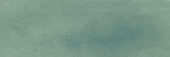 Aruba Moss Matt 2x6 | Young Interiors Flooring Center