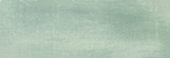 Aruba Moss Matt 2x6 | Young Interiors Flooring Center