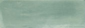 Aruba Moss Matt 2x6 | Young Interiors Flooring Center