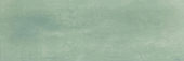 Aruba Moss Matt 2x6 | Young Interiors Flooring Center