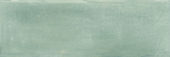 Aruba Moss Matt 2x6 | Young Interiors Flooring Center