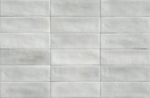 Aruba Silver Matt 2x6 | Young Interiors Flooring Center