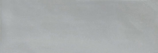 Aruba Steel Gloss 2x6 | Young Interiors Flooring Center