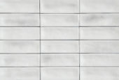 Aruba White Gloss 2x6 | Young Interiors Flooring Center