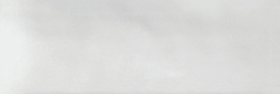 Aruba White Gloss 2x6 | Young Interiors Flooring Center