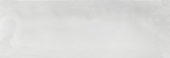 Aruba White Gloss 2x6 | Young Interiors Flooring Center
