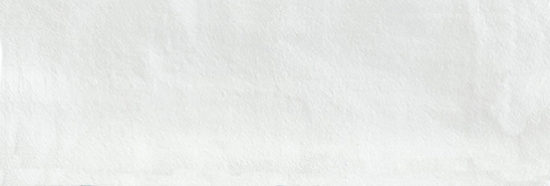 Aruba White Matt 2x6 | Young Interiors Flooring Center