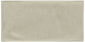 Autumn Tan 3X6 Glossy | Young Interiors Flooring Center