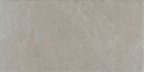 Avalon Grey 12X24