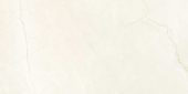 Avorio Crema 12x24 | Young Interiors Flooring Center