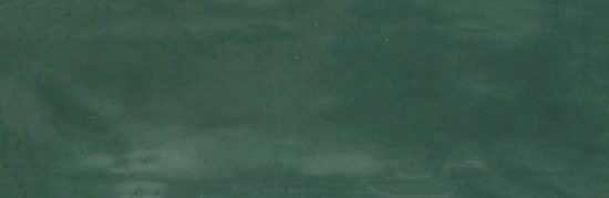 Barcelona 2x6" Green | Young Interiors Flooring Center
