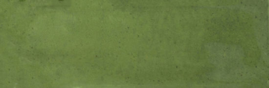 Barcelona 2x6" Olive | Young Interiors Flooring Center