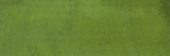 Barcelona 2x6" Olive | Young Interiors Flooring Center