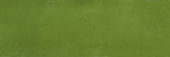 Barcelona 2x6" Olive | Young Interiors Flooring Center