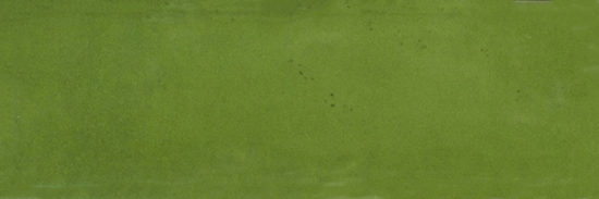Barcelona 2x6" Olive | Young Interiors Flooring Center