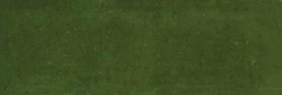 Barcelona 2x6" Olive | Young Interiors Flooring Center