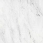 Bianco Venatino 18x18 Honed | Young Interiors Flooring Center