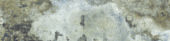 Brix 2x10 Mud | Young Interiors Flooring Center