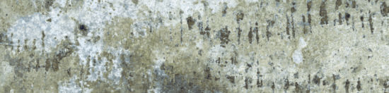 Brix 2x10 Mud | Young Interiors Flooring Center