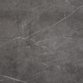 Carpantian Gloss Wall Panel 48x120 | Young Interiors Flooring Center