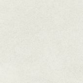 Concord 13X13F Dawn Matte | Young Interiors Flooring Center