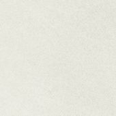 Concord 13X13F Dawn Matte | Young Interiors Flooring Center