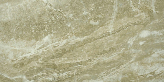Congo 12X24 | Young Interiors Flooring Center