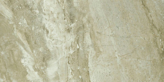 Congo 12X24 | Young Interiors Flooring Center