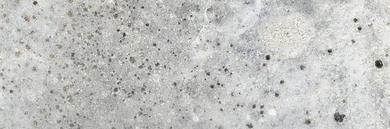 Cordoba 3x9" Cordoba | Young Interiors Flooring Center