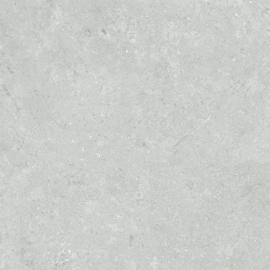 Denver 20X20F Platinum Matte | Young Interiors Flooring Center