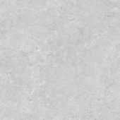 Denver 20X20F Platinum Matte | Young Interiors Flooring Center