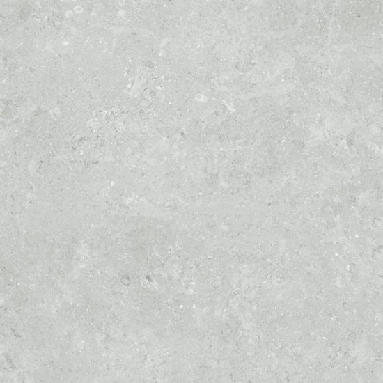 Denver 20X20F Platinum Matte | Young Interiors Flooring Center