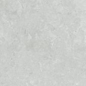 Denver 20X20F Platinum Matte | Young Interiors Flooring Center