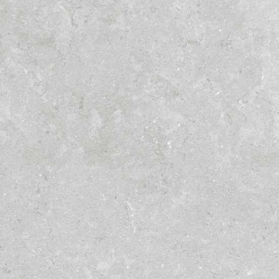 Denver 20X20F Platinum Matte | Young Interiors Flooring Center