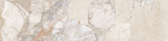Dynasty Almond 3X12 Bullnose | Young Interiors Flooring Center