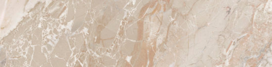 Dynasty Almond 3X12 Bullnose | Young Interiors Flooring Center
