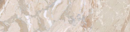 Dynasty Almond 3X12 Bullnose | Young Interiors Flooring Center