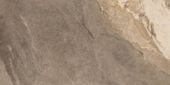Dynasty Taupe 12X24 | Young Interiors Flooring Center