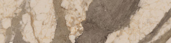 Dynasty Taupe 3X12 Bullnose | Young Interiors Flooring Center