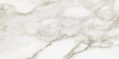 Florence 12X24F Calacatta Matte | Young Interiors Flooring Center