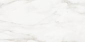 Florence 12X24F Calacatta Matte | Young Interiors Flooring Center