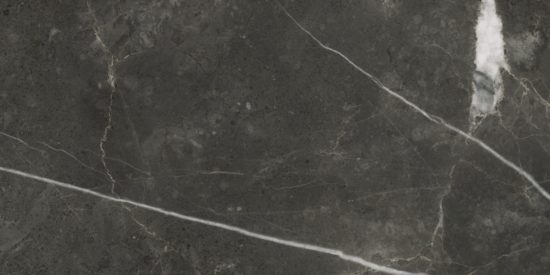 Florence 12X24F Carbon Texture