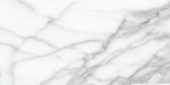 Florence 12X24F Statuario Matte | Young Interiors Flooring Center