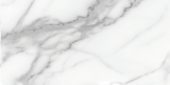 Florence 12X24F Statuario Matte | Young Interiors Flooring Center